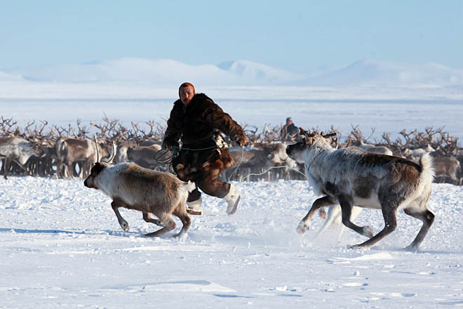 Особый день для тружеников тундры