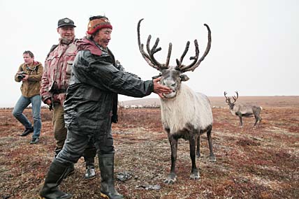 РЕЦЕПТЫ ДЛЯ ОЛЕНЕВОДОВ И ОЛЕНЕЙ
