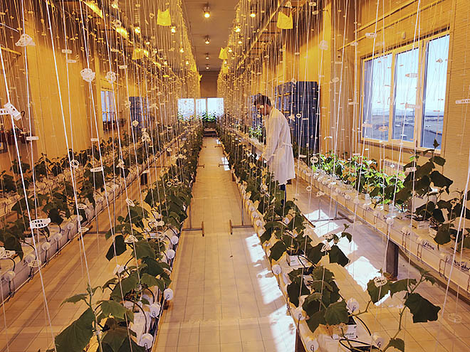 Грант вложат в семейную ферму