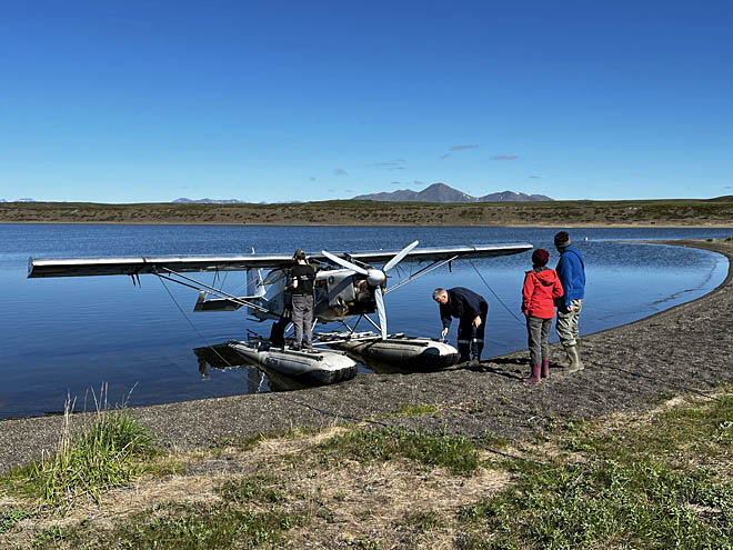 К птицам спустились с неба