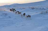 МАНЯЩИЕ МИЛИ ЮКОНА