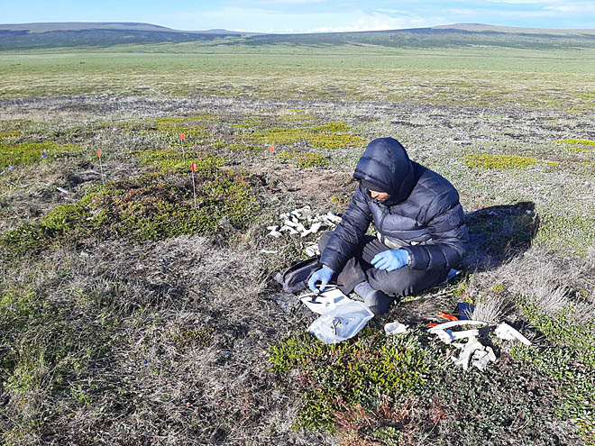 Находки сезона превзошли ожидания