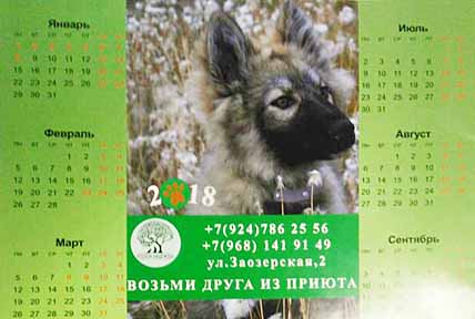 МОХНАТЫЕ «МОДЕЛИ» БИЛИБИНО