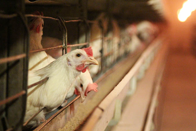 На «Северной» – пополнение