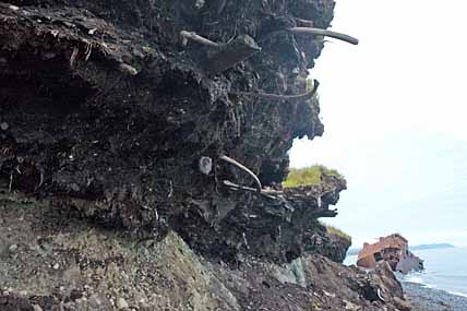 «МУСОР» РАССКАЖЕТ О МНОГОМ