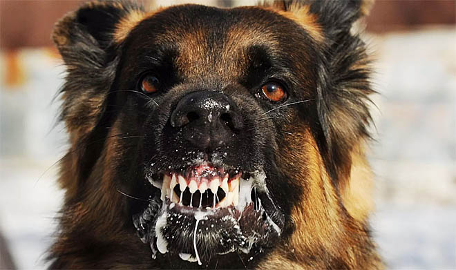 Результат – положительный