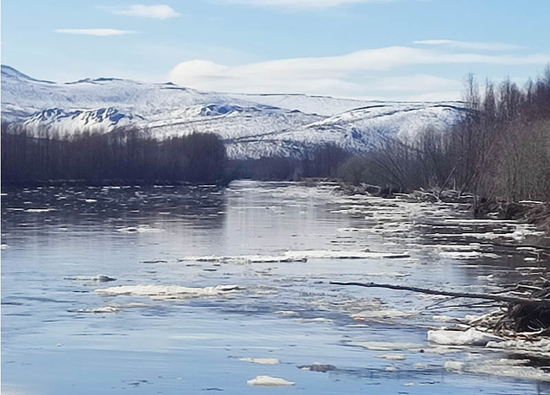 В усиленном режиме