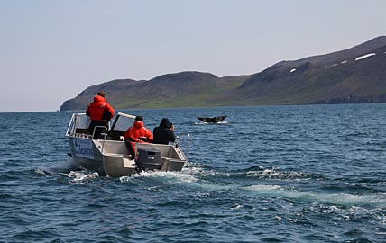 ПОГРУЖЕНИЕ  В «БЕРИНГИЮ»