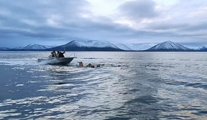 Промысел в Сенявинском проливе