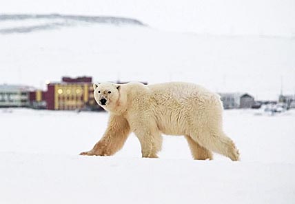 МИНИМУМ КОНФЛИКТНЫХ СИТУАЦИЙ