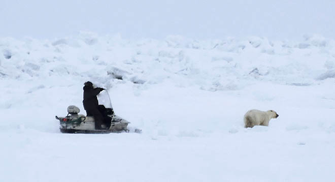 С заботой об умке и земляках