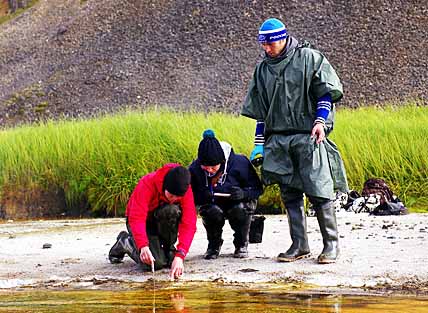 МИКРОБИОЛОГИ ВЫБРАЛИ ПОГОРЯЧЕЕ