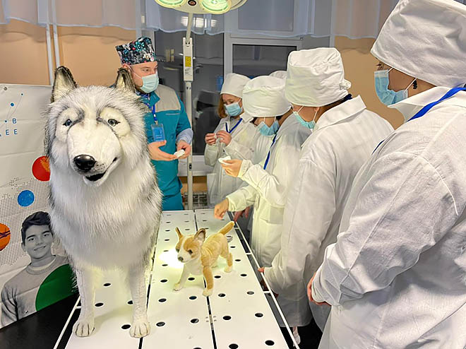 Профессии «примерили» на себя