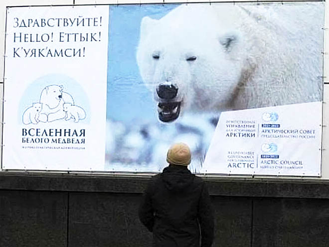 Конференция «Вселенная белого медведя» связала телемостом все регионы, где изучают полярного хищника