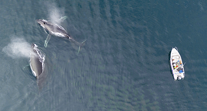Хозяева студёных вод