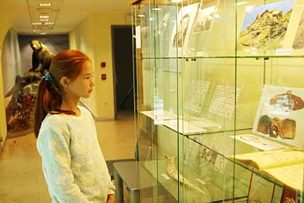 ИЕРОГЛИФЫ ТЕНЕВИЛЯ