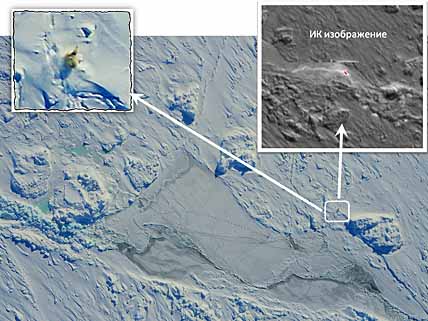НА БЕЛОГО МЕДВЕДЯ – С ТЕПЛОВИЗОРОМ