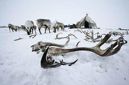 В ЗОНЕ РИСКОВАННОГО УПРАВЛЕНИЯ