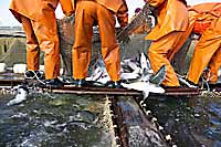 ПРАВОВОЙ ВАКУУМ МЕШАЕТ ОТРАСЛИ