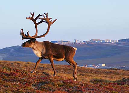 ЧИСТАЯ ВОДА НА ВЕС ЗОЛОТА