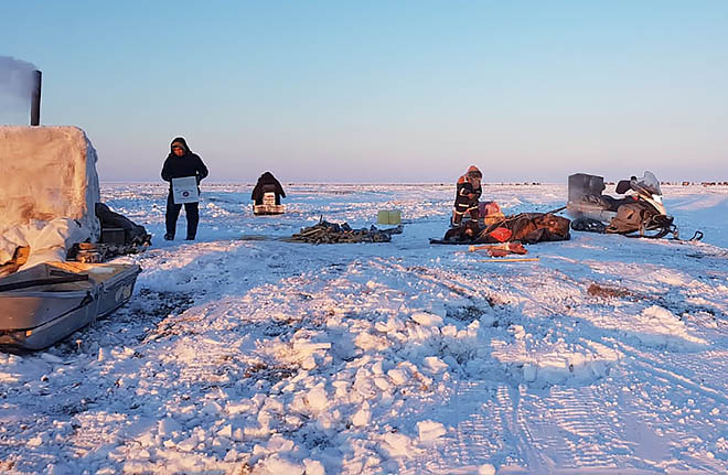 Оленеводство без вычетов