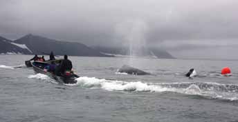 ПАРТНЕРСТВО ОБЕСПЕЧИТ УСПЕХ