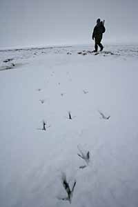 ЧЕЛОВЕК С РУЖЬЕМ УХОДИТ В ТУНДРУ