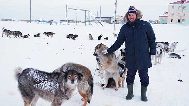 Собак «прогнали», заявки подали