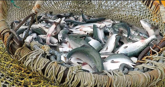 Нет промысла до распоряжения