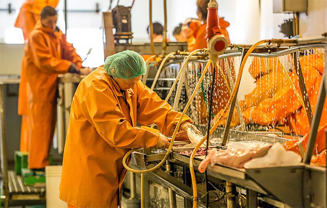 Не менее 245 тонн рыбопродукции ежегодно намерен выпускать новый, 56-й, резидент ТОР «Чукотка»