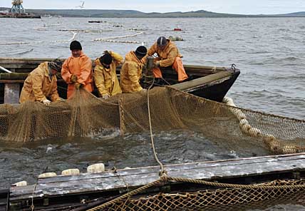 РЫБАКИ ПРАВЯТ ПРАВИЛА