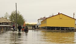 «ЧИСТЯТ ПЕРЫШКИ», УБИРАЮТ ГРЯЗЬ