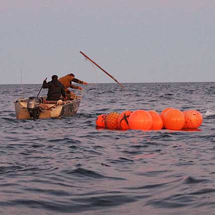 ПЕРВЫЙ УЧЕБНИК ДЛЯ МОРЗВЕРОБОЕВ
