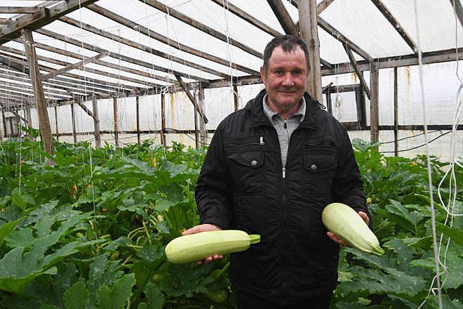 Средства гранта вложит в теплицу