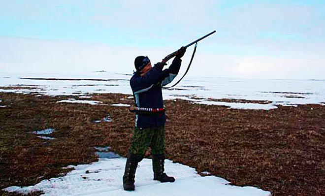 Тундра зовёт