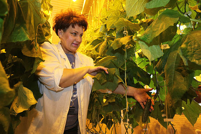 Первая «Лига» большой семьи