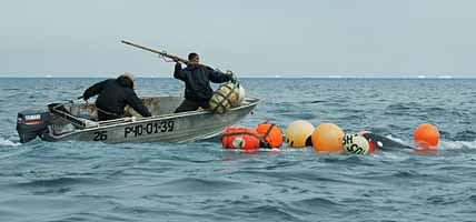 СВОИХ НЕ БРОСАЕМ