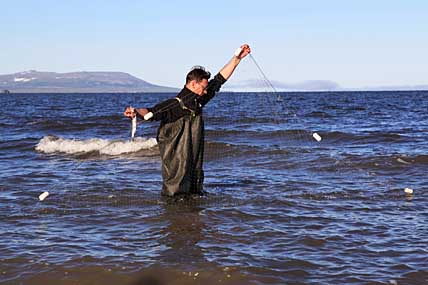 ЗАКИНЕМ МАРКИРОВАННЫЕ СЕТИ