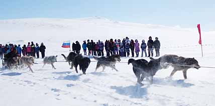 ГОНКА, ПОЛНАЯ НЕОЖИДАННОСТЕЙ