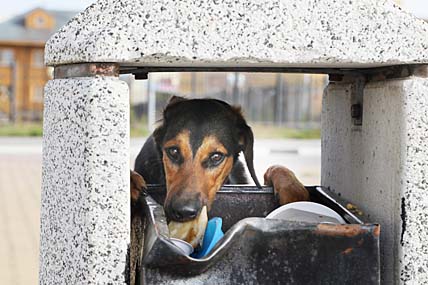 ОТВЕТСТВЕННО, ЗНАЧИТ, ЗАТРАТНО