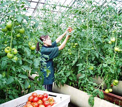 К ПАРТНЁРСТВУ НА РАВНЫХ