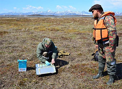 ЛОПАТНЯМ «ВЫСИДЯТ» ПОТОМСТВО