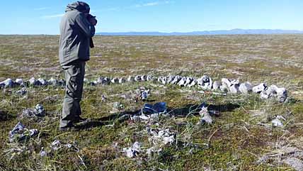 ГОСОХРАНА ДЛЯ ПАМЯТНИКА