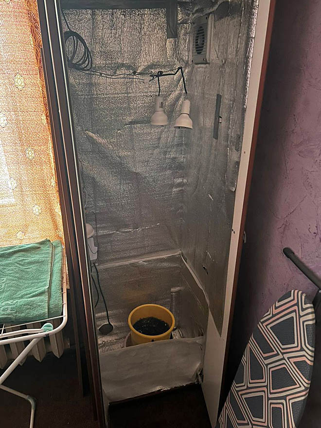 Зелью подрубают корни
