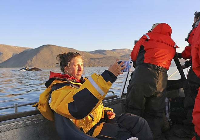 Навстречу китам «Берингии»