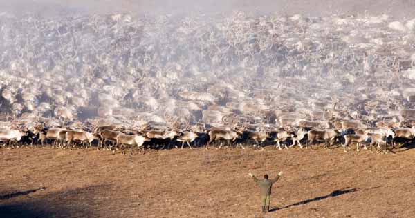 ПОМОЖЕТ ТОЛЬКО ОТЛАЖЕННАЯ СИСТЕМА УПРАВЛЕНИЯ ОТРАСЛЬЮ