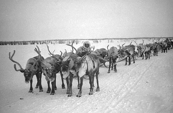 Великий перегон