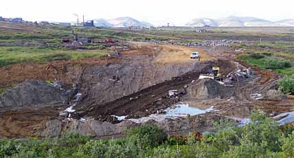 ФАНДЮШКИНСКОЕ ПОЛЕ ДАСТ ПЕРВЫЙ «УРОЖАЙ»