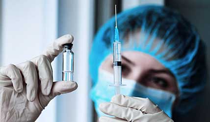 КОРЬ «ЗАЧИСТЯТ» НА КОРНЮ