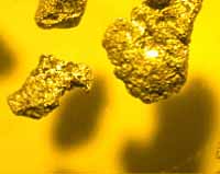 ПРАВИТЕЛЬСТВО ДОГОВОРИЛОСЬ С «ПОЛЮСОМ»